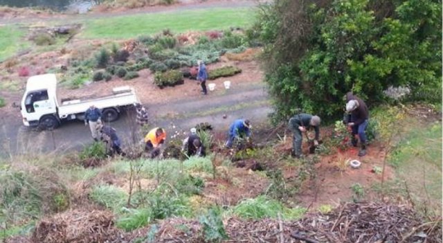 Fonterra staff and CTT members. Cambridge Tree Trust 